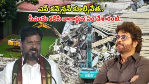 CM Revanth Reddy: ఎన్‌ కన్వెన్షన్ కూల్చివేతపై సీఎం రేవంత్ రెడ్డి కీలక వ్యాఖ్యలు..