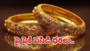 Gold Rate: అమ్మ బాబోయ్.. భారీగా పెరిగిన బంగారం ధరలు..
