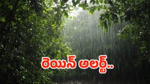 Rain Alert: ఏపీ, తెలంగాణలో భారీ వర్షాలు.. ఆ జిల్లాలకు హై అలర్ట్