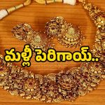 Today Gold Price: తగ్గినట్టే తగ్గి మళ్లీ భారీగా పెరిగిన బంగారం ధరలు..