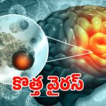 Kerala: కేరళలో కొత్త వైరస్.. 100 మందికి పైగా..?