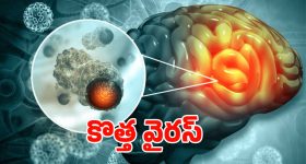 Poco M7 Plus 5G: రూ.10 వేల రేంజ్‌లో ప్రీమియం లుక్.. ఫ్లిప్‌కార్ట్ బిగ్ బిలియన్ డేస్‌లో స్పెషల్ డీల్