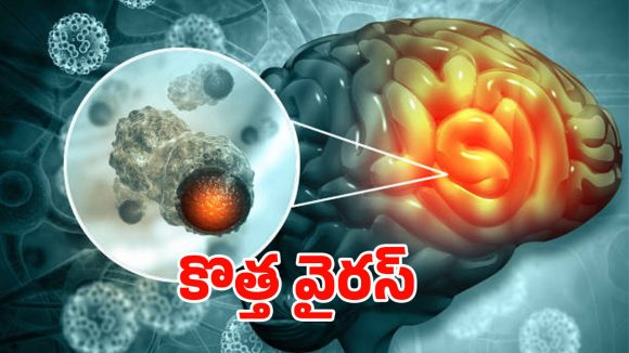 Kerala: కేరళలో కొత్త వైరస్.. 100 మందికి పైగా..?