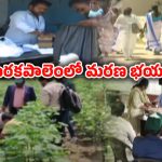 Turakapalem: తురకపాలెంలో ICAR బృందం పర్యటన..