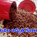 Weight Loss Tips: ఉలవలు తినడం వల్ల ఊహించలేని ఆరోగ్య మార్పులు!