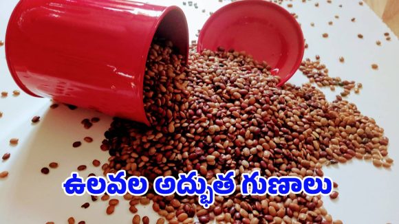 Weight Loss Tips: ఉలవలు తినడం వల్ల ఊహించలేని ఆరోగ్య మార్పులు!