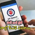 EPFO Passbook Lite: ఈపీఎఫ్ఓ పాస్‌బుక్ లైట్.. మీ పీఎఫ్ బ్యాలెన్స్‌ను ఈజీగా చెక్ చేసుకోండి!