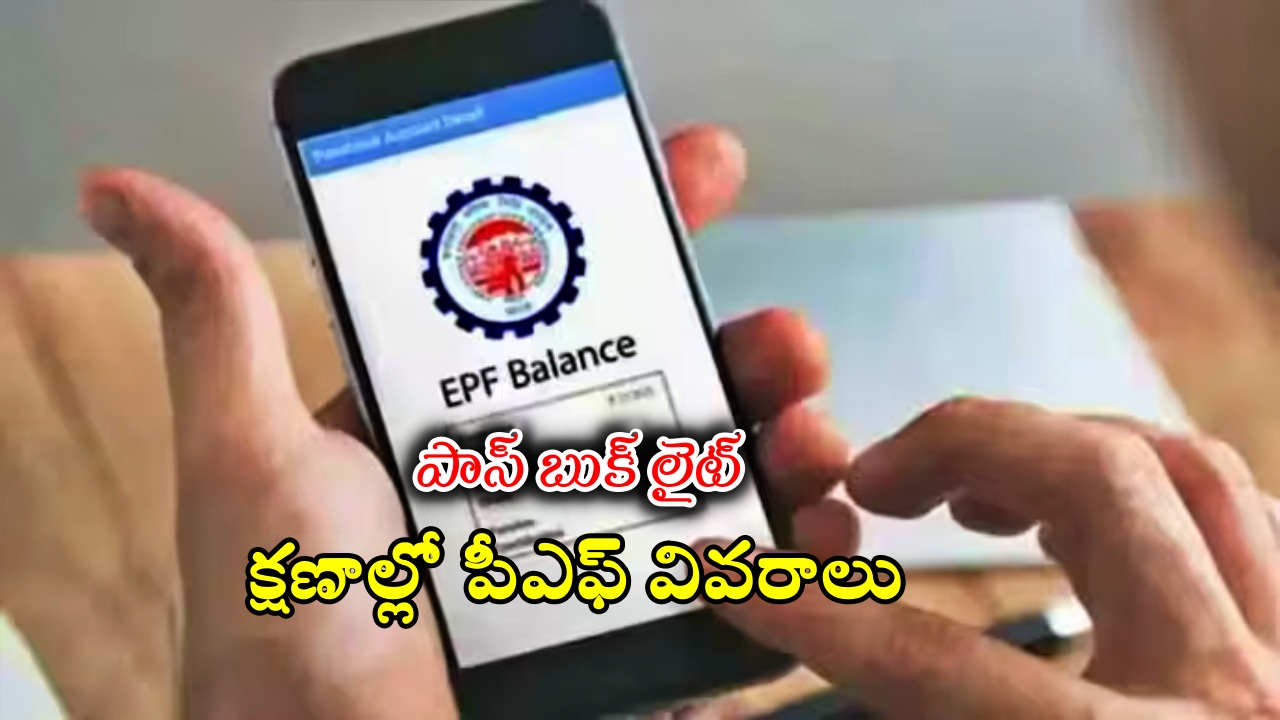 EPFO Passbook Lite: ఈపీఎఫ్ఓ పాస్‌బుక్ లైట్.. మీ పీఎఫ్ బ్యాలెన్స్‌ను ఈజీగా చెక్ చేసుకోండి!