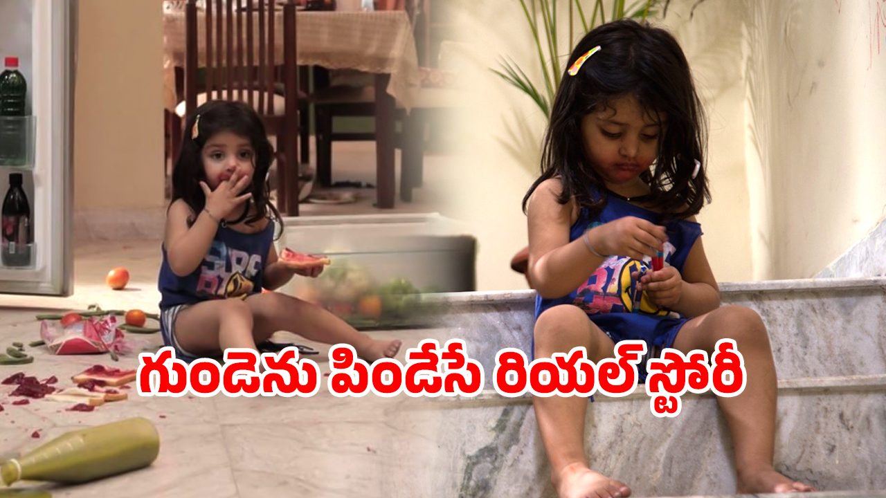 OTT Movie : పాపం పసికూన… తల్లి శవంతో 2 రోజులు ఇంట్లోనే రెండేళ్ల పాప… టెన్షన్ తోనే పోతారు భయ్యా