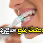 Oral Care: పళ్లు తోమకపోతే పోతారు.. తాజా స్టడీలో తేలింది ఇదే!