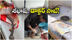 Treatment to Snake: పాముకు వైద్యం చేసిన డాక్టర్, ప్రశంసలు కురిపిస్తున్న నెటిజన్లు!