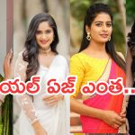 Tv Serial Actress : తెలుగు సీరియల్స్ లో నటిస్తున్న  హీరోయిన్స్ రియల్ ఏజ్ ఎంతో తెలుసా..? అస్సలు నమ్మలేరు..