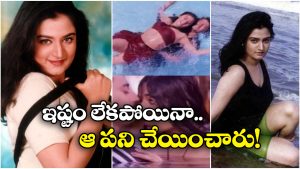 Actress Mohini: అలా చేయాలని బలవంతం చేశారు.. చాలా ఏడ్చాను, బాలయ్య హీరోయిన్ షాకింగ్ కామెంట్స్!