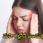 Migraine Causes In Women: పురుషులతో పోలిస్తే.. మహిళల్లోనే మైగ్రేన్ బాధితులు ఎక్కువ, కారణమిదే
