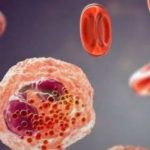 Eosinophilia Symptoms: అలసట, చర్మంపై దద్దుర్లతో ఇబ్బంది పడుతున్నారా ?