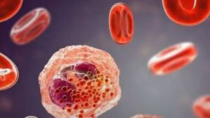 Eosinophilia Symptoms: అలసట, చర్మంపై దద్దుర్లతో ఇబ్బంది పడుతున్నారా ?