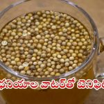 Coriander Water: ధనియాల నీరు తాగితే.. ఈ ఆరోగ్య సమస్యలు దూరం !