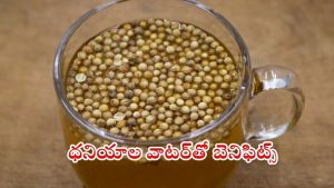 Coriander Water: ధనియాల నీరు తాగితే.. ఈ ఆరోగ్య సమస్యలు దూరం !