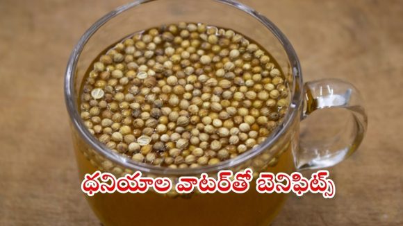 Coriander Water: ధనియాల నీరు తాగితే.. ఈ ఆరోగ్య సమస్యలు దూరం !