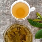 Guava Leaves: జామ ఆకులను ఇలా వాడితే.. మీ రోగాలన్నీ మాయం !