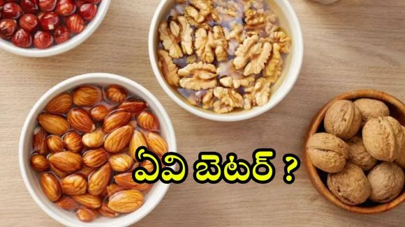 Soaked Almonds Vs Walnuts: నానబెట్టిన బాదం Vs వాల్నట్స్.. బ్రెయిన్ హెల్త్ కోసం ఏది బెటర్ ? Soaked Almonds Vs Walnuts: నానబెట్టిన బాదం Vs వాల్నట్స్.. బ్రెయిన్ హెల్త్ కోసం ఏది బెటర్ ?
