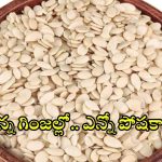 Watermelon Seeds: రోజుకో స్పూన్ పుచ్చకాయ గింజలు.. ఇన్ని ప్రయోజనాలా ?