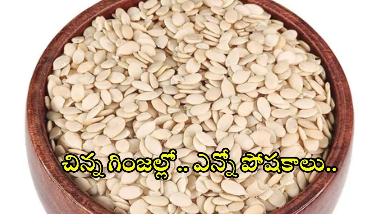 Watermelon Seeds: రోజుకో స్పూన్ పుచ్చకాయ గింజలు.. ఇన్ని ప్రయోజనాలా ?
