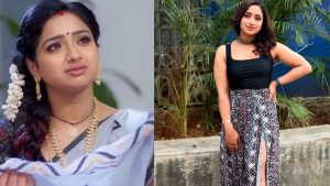 Trinayani Serial : ‘త్రినయని’ నయని ఒక్కరోజు రెమ్యూనరేషన్ ఎంతంటే..?
