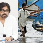 Uppada Fishermen Issue: ఉప్పాడ మత్స్యకారుల సమస్యపై డిప్యూటీ సీఎం రంగంలోకి.. ఏం చేశారంటే?