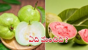 White Guava vs Red Guava: ఎలాంటి జామపండ్లు ఆరోగ్యానికి మంచివో తెలుసా ?