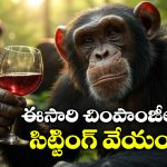 Chimpanzee: వామ్మో.. చింపాంజీలు ఇంత తాగుబోతులా? ఇన్నాళ్లూ ఈ విషయం తెలియదే!