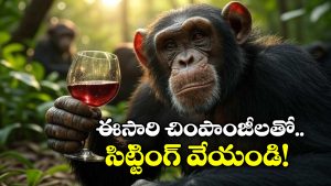Chimpanzee: వామ్మో.. చింపాంజీలు ఇంత తాగుబోతులా? ఇన్నాళ్లూ ఈ విషయం తెలియదే!