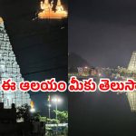 Hindu temples: గ్రహణంలోనూ తెరిచి ఉన్న ఏకైక ఆలయం.. ఏపీలో ఉందని మీకు తెలుసా!