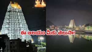 Hindu temples: గ్రహణంలోనూ తెరిచి ఉన్న ఏకైక ఆలయం.. ఏపీలో ఉందని మీకు తెలుసా!