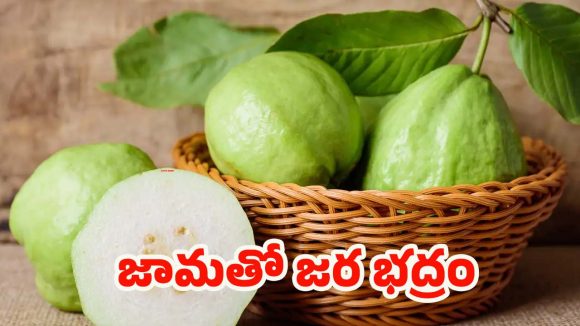 Guava: వీళ్లు జామ కాయలు అస్సలు తినకూడదు, పొరపాటున తిన్నారో..