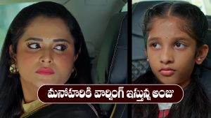 Nindu Noorella Saavasam Serial Today october 22nd: ‘నిండు నూరేళ్ల సావాసం’ సీరియల్‌: మనోహరికి వార్నింగ్‌ ఇచ్చిన అంజు  