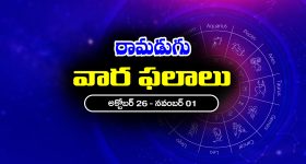 Bigg Boss 9: రోడ్ రోలర్.. వీడియోలు చూపించి మరీ వార్నింగ్.. సంజనకి నాగార్జున ఝలక్