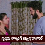 Brahmamudi Serial Today October 29th: ‘బ్రహ్మముడి’ సీరియల్‌: స్వప్న, రాహుల్‌ మధ్య పెరిగిన గొడవ  