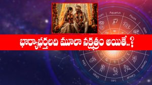 Moola Nakshatra: భార్యాభర్తలిద్దరిదీ మూలా నక్షత్రమా..? అయితే మీ ఇంటి సింహద్వారం ఈ దిక్కుకే ఉండాలి లేదంటే అష్ట దరిద్రమే