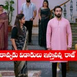 Brahmamudi Serial Today October 8th: ‘బ్రహ్మముడి’ సీరియల్‌: కావ్యకు షాక్‌ ఇచ్చిన రాజ్‌ – విడాకులకు రెడీ అయిన రాజ్‌  