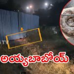 Hyderabad News: హైదరాబాద్‌‌‌ను వణికిస్తున్న జంతువులు.. మొన్న కొండ చిలువ, ఇప్పుడు 12 అడుగుల భారీ మొసలి