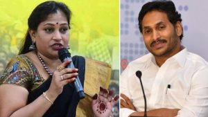 Bulk Drug Park: బల్క్ డ్రగ్ పార్క్.. పార్టీల స్టాండ్ ఏంటి?