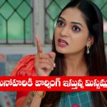 Nindu Noorella Saavasam Serial Today october 13th: ‘నిండు నూరేళ్ల సావాసం’ సీరియల్‌: మనోహరి సవాల్‌కు ప్రతి సవాల్‌ విసిరిన మిస్సమ్మ  