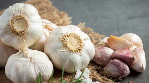 Garlic: చలికాలంలో వెల్లుల్లి ఎక్కువగా తింటే.. నమ్మలేనన్ని ప్రయోజనాలు !