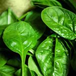 Spinach: పాలకూరతో పాటు.. ఇవి అస్సలు తినొద్దు !