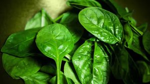 Spinach: పాలకూరతో పాటు.. ఇవి అస్సలు తినొద్దు !