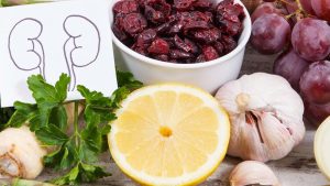 Kidney Disease: కిడ్నీ సమస్యలా ? అయితే.. ఈ పుడ్ తప్పక తినాల్సిందే ?