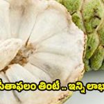 Custard Apple: సీతాఫలం తినడం వల్ల ఎన్ని లాభాలో తెలిస్తే.. షాక్ అవుతారు