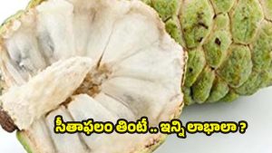 Custard Apple: సీతాఫలం తినడం వల్ల ఎన్ని లాభాలో తెలిస్తే.. షాక్ అవుతారు