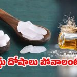 Vastu Tips: కర్పూరంతో ఈ పరిహారాలు చేస్తే.. ఎలాంటి వాస్తు దోషాలైనా మటుమాయం !
